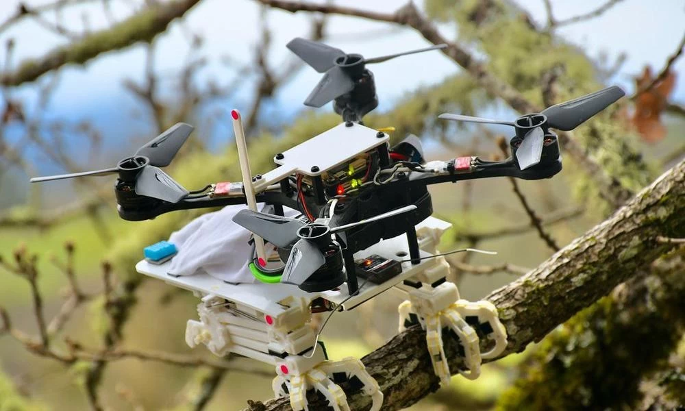 Ρομποτικό drone που μπορεί να κινηθεί σαν πουλί: Μπορεί να προσγειωθεί, να πιάσει και να «κουρνιάσει» σε κλαδιά